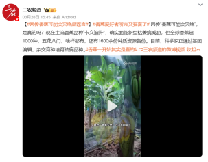 1791365386645089.png image.png