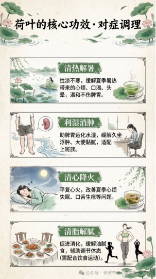 1791366050170018.png image.png